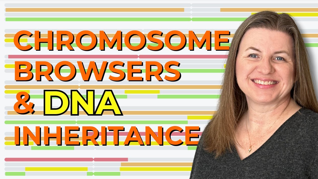 DNA Inheritance Simplified: What Chromosome Browsers Reveal!
