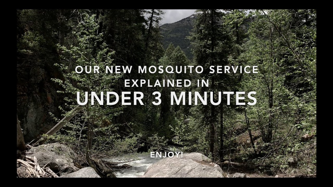 Pest Control Experts - No-Spray Mosquito Prevention Service! Environmentally friendly pest control