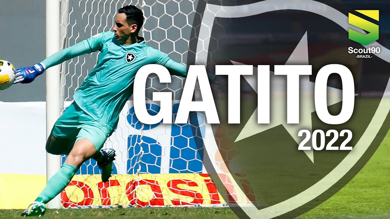 Gatito Fernández - Defesas Incríveis pelo Botafogo | 2022 HD