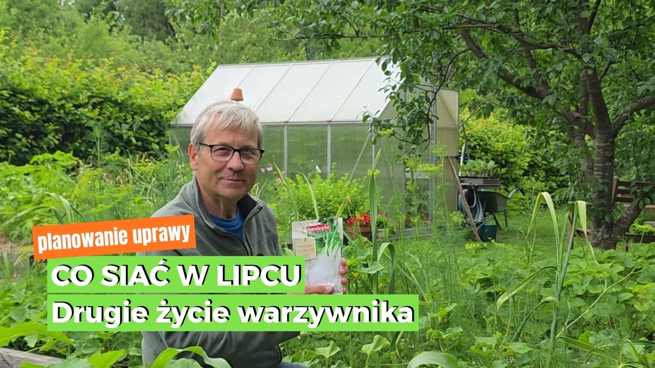 Co siać w lipcu w warzywniku? Druga tura wysiew&oacute;w na jesienne zbiory!  Posiej warzywa i kwiaty.