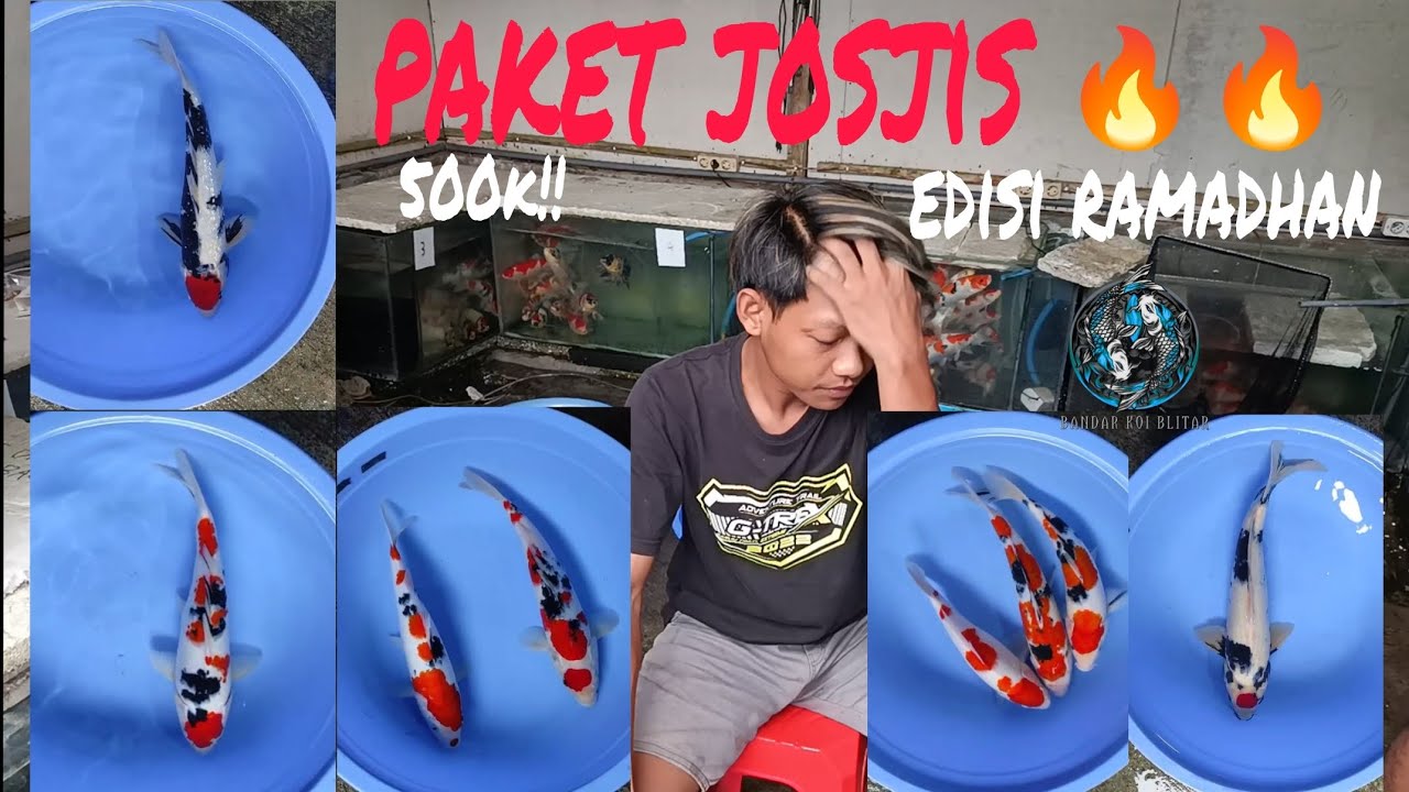 HADIR LAGI !!! GRADE A++ HQ-SQ JOSJISS🌶️🔥🔥 SPESIAL EDISI RAMADHAN,,,KUALITAS BISA DI ADU BOSKUU