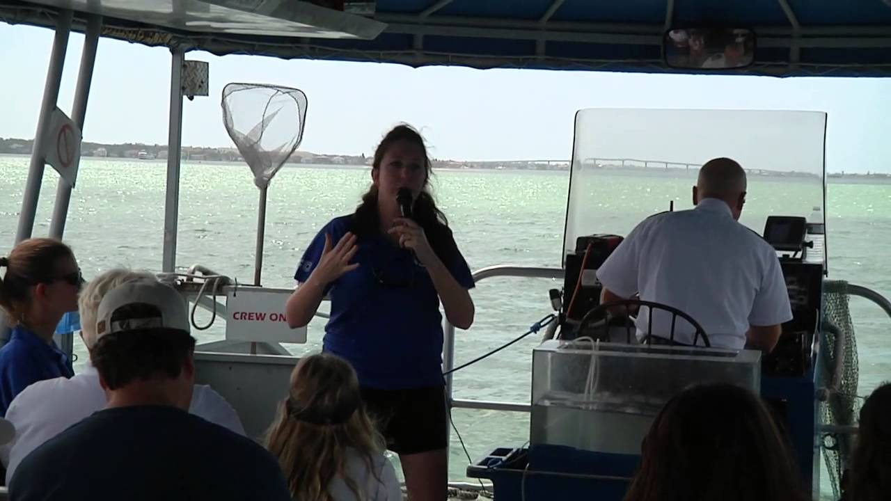 On The Water Vlog- Episode #10 - Part 1 - Sea Life Safari Adventure
