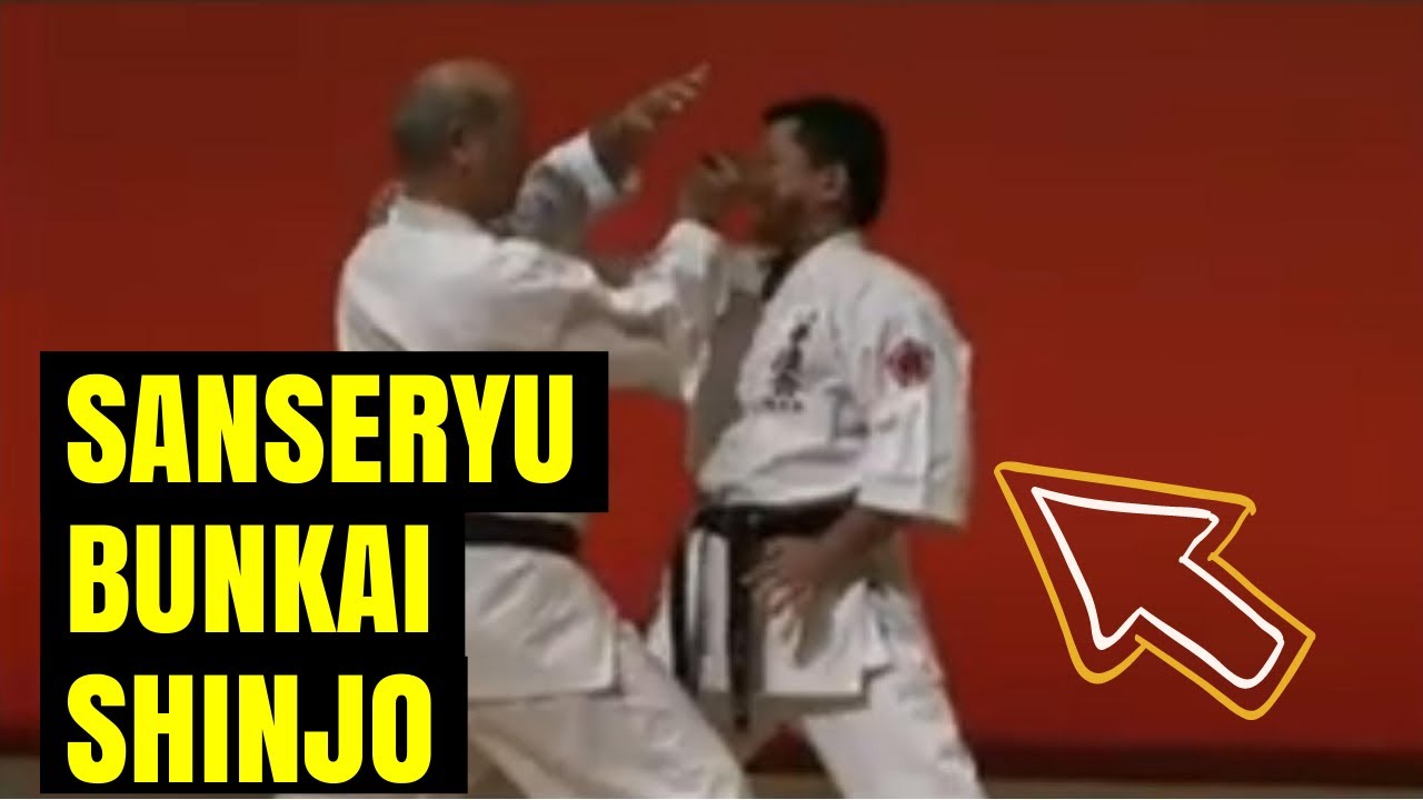 Sanseryu Bunkai - Shinjo Kiyohide & Narihiro