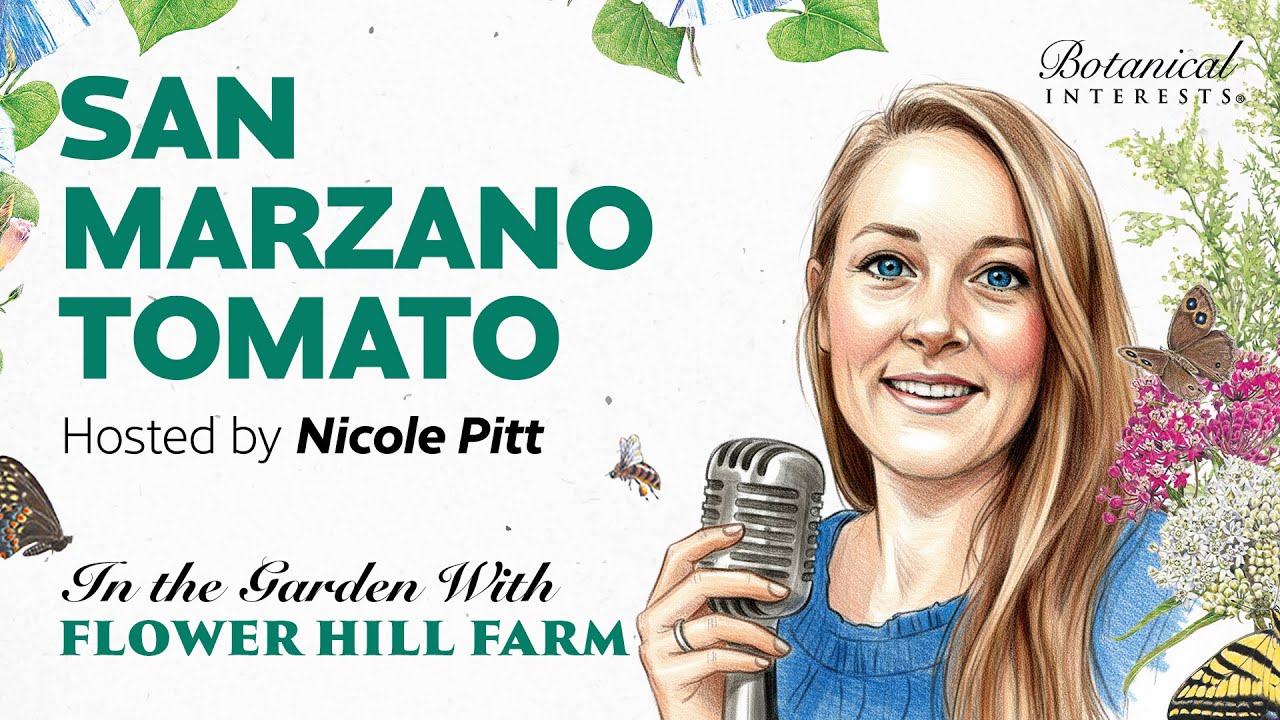 In the Garden | San Marzano Tomatoes