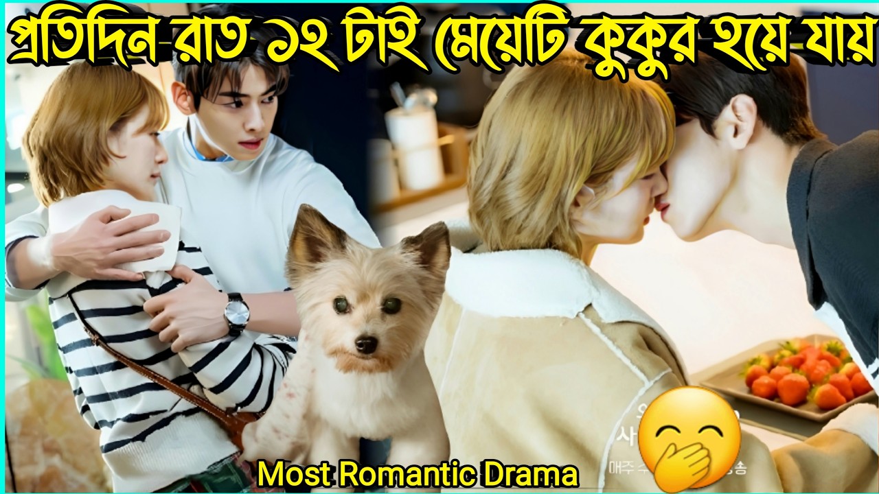 রাত ১২ টার পর  কিউট মেয়েটি কুকুর হয়ে যায়🤭New Korean Romantic And Funny Drama Bangla Explain