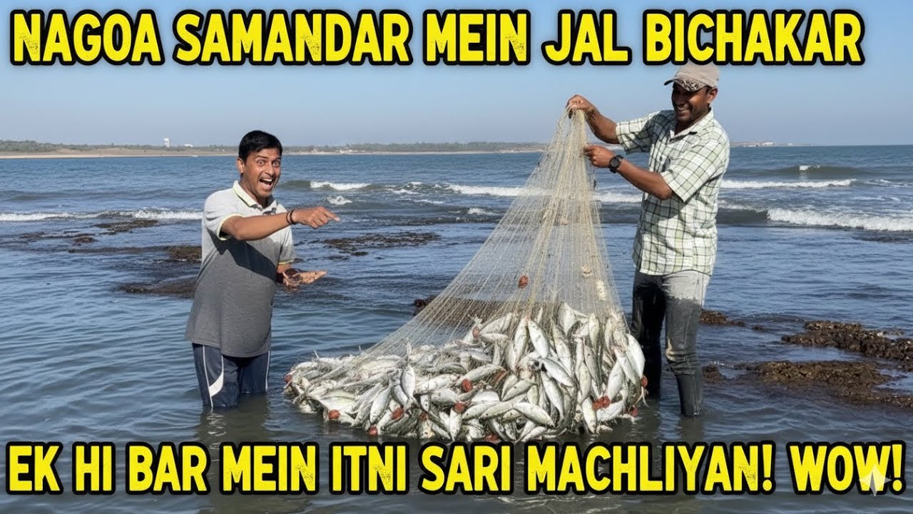 Nagoa Beach Diu | Traditional Net Fishing Experience | मछली पकड़ने का गज़ब तरीका! नागोआ बीच, दीव