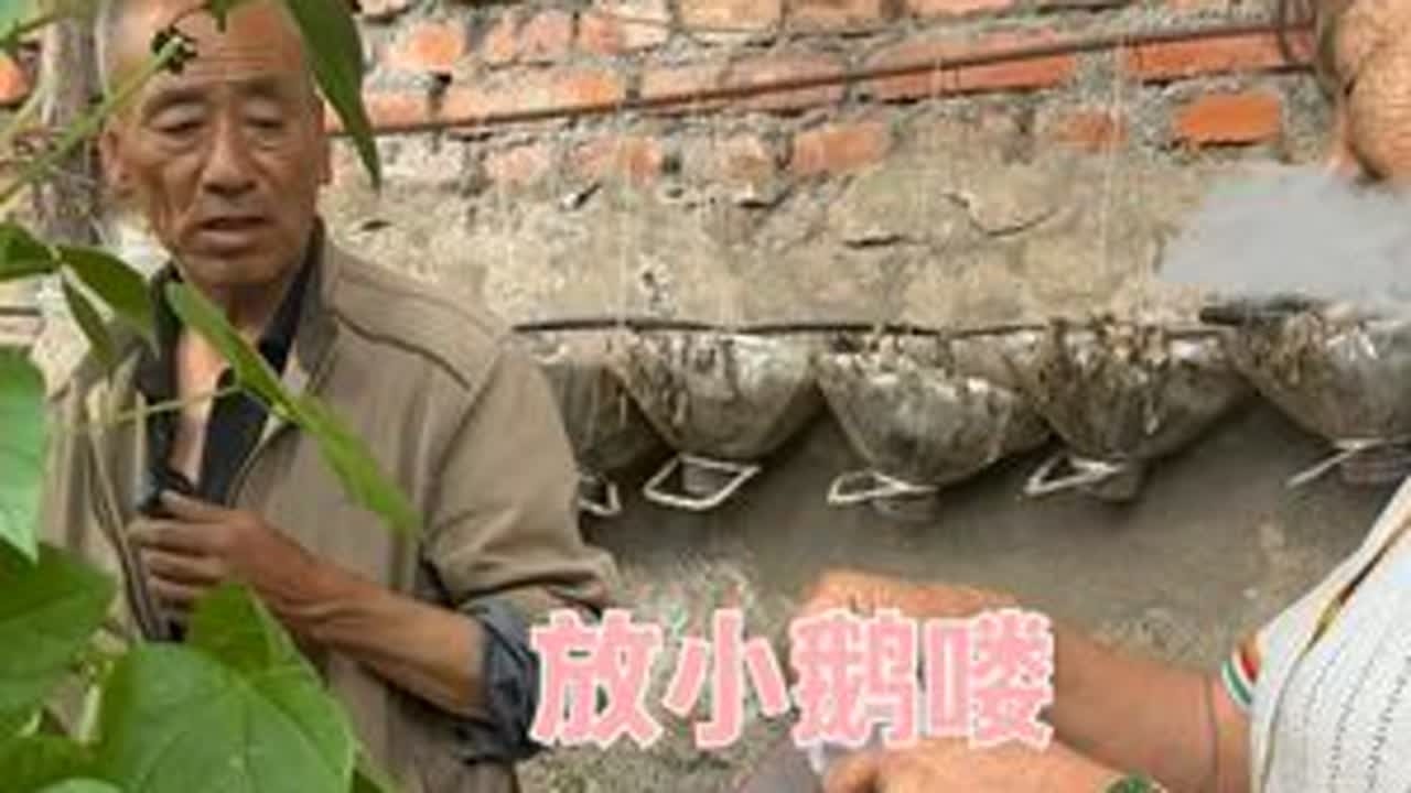 老爸今天表现不错，没怎么犟嘴，估计跟我一样，希望我姨开心 #热点 #记录真实生活 #农村生活 #生活
