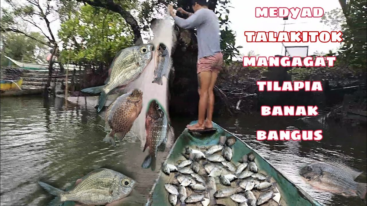 PAMAMANTI SA ILOG IBA'T IBANG URING ISDA ANG AMING HULI NAMIN SA LAMBAT
