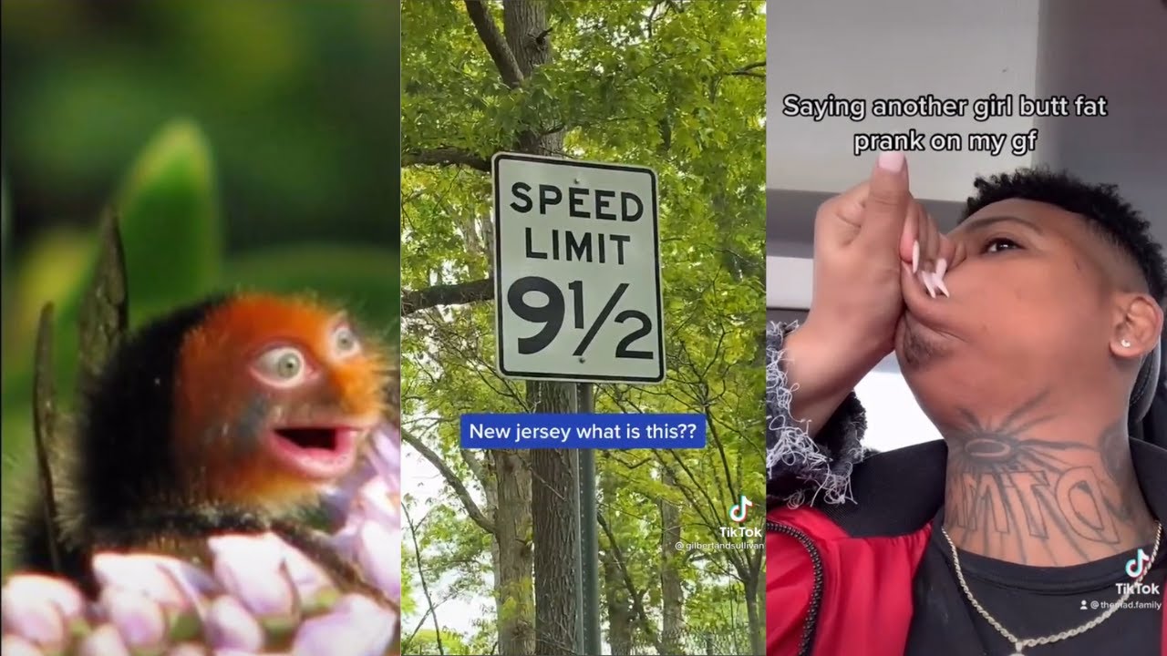 TikToks That Are IMPOSSIBLE Not To Laugh At