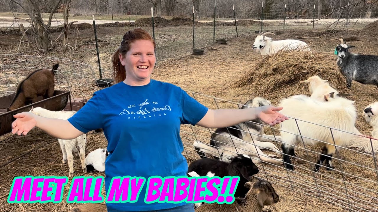 Meet All Of Our Farm Animals!!