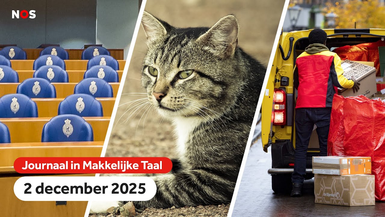 Plannen van politieke partijen, katten dood door vogelgriep, drukste tijd voor pakketbezorgers