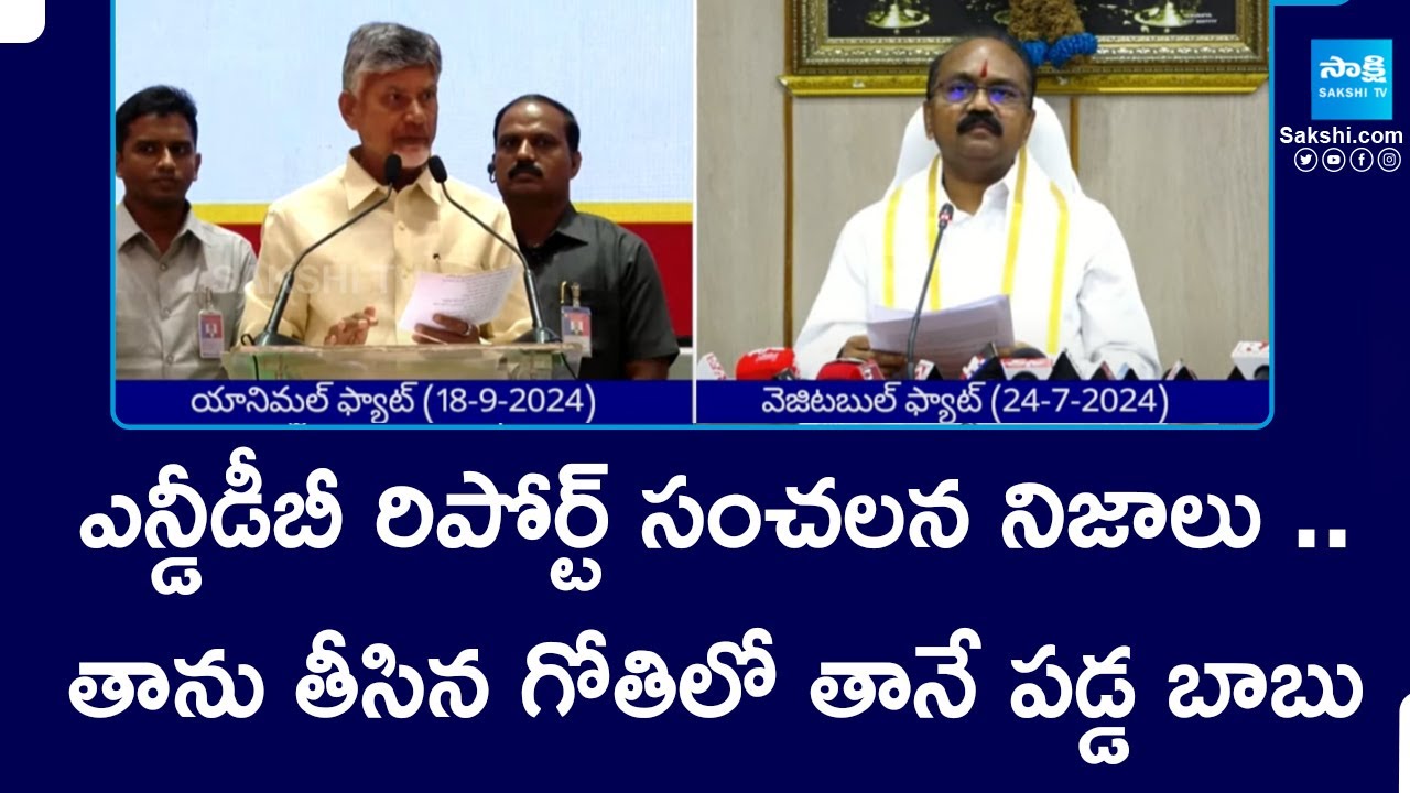 NDDB Lab Reports on Tirumala Laddu Issue || CM Chandrababu || @SakshiTV