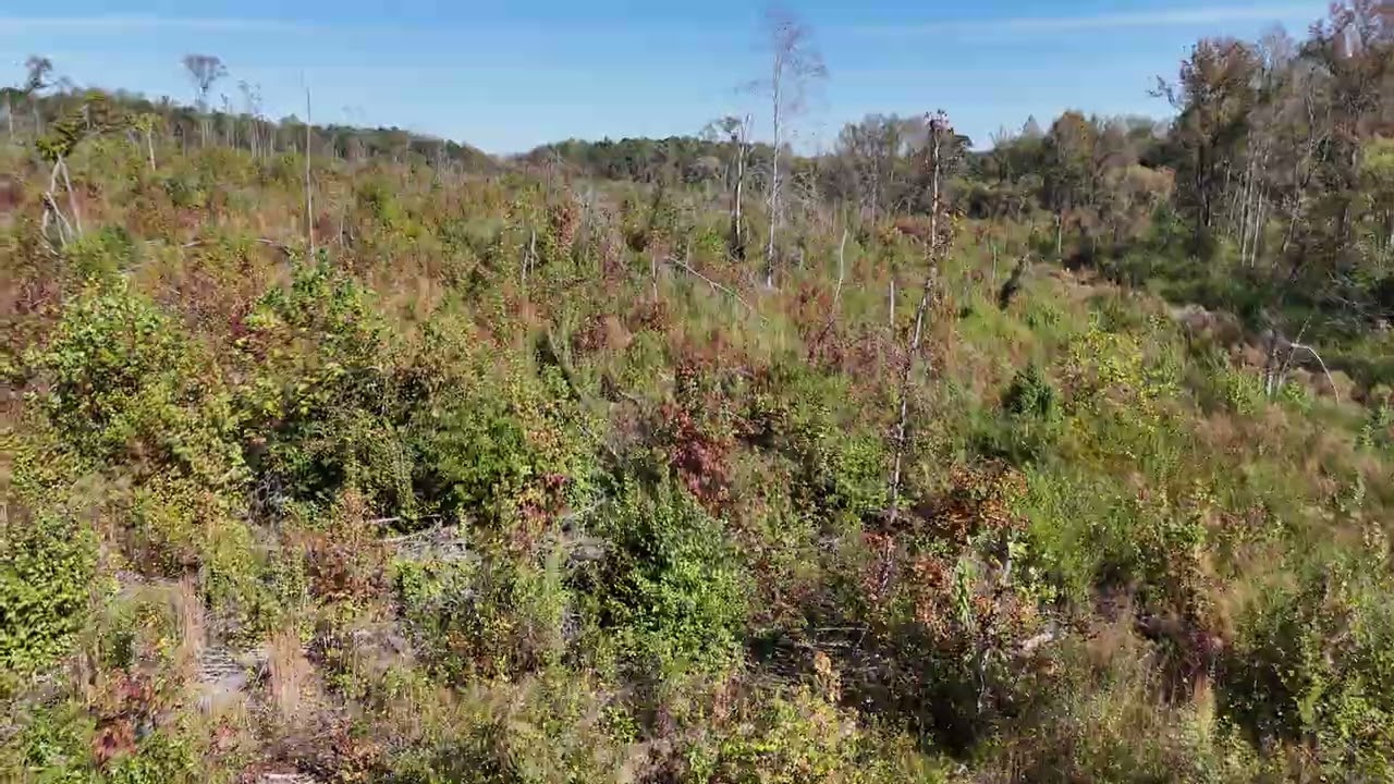 Terraforge- 10 25.2025- Alexander City, AL