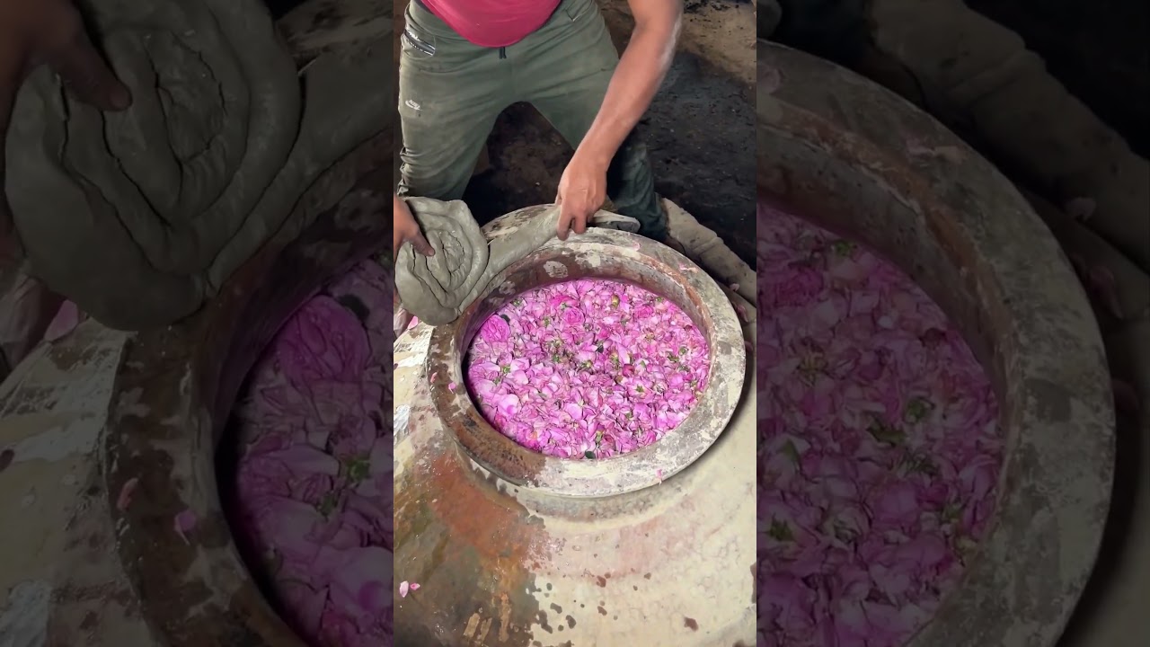 20 Lakhs Rs/kg Rose Attar (Gulabjal Making😱😱) manufacturing in Attarkannauj.com | Vijay Groups