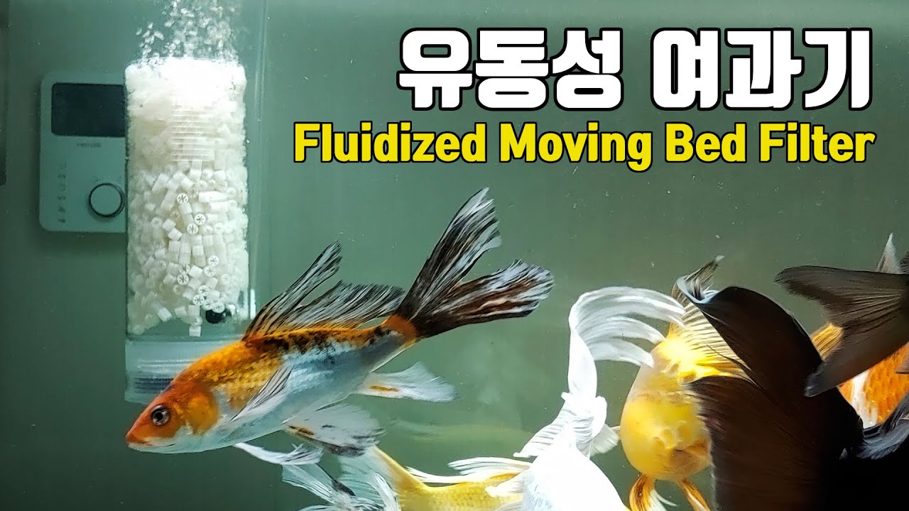 유동성 여과기 만들기 Moving bed filter for Ziss ZM-1,K1 Micro media
