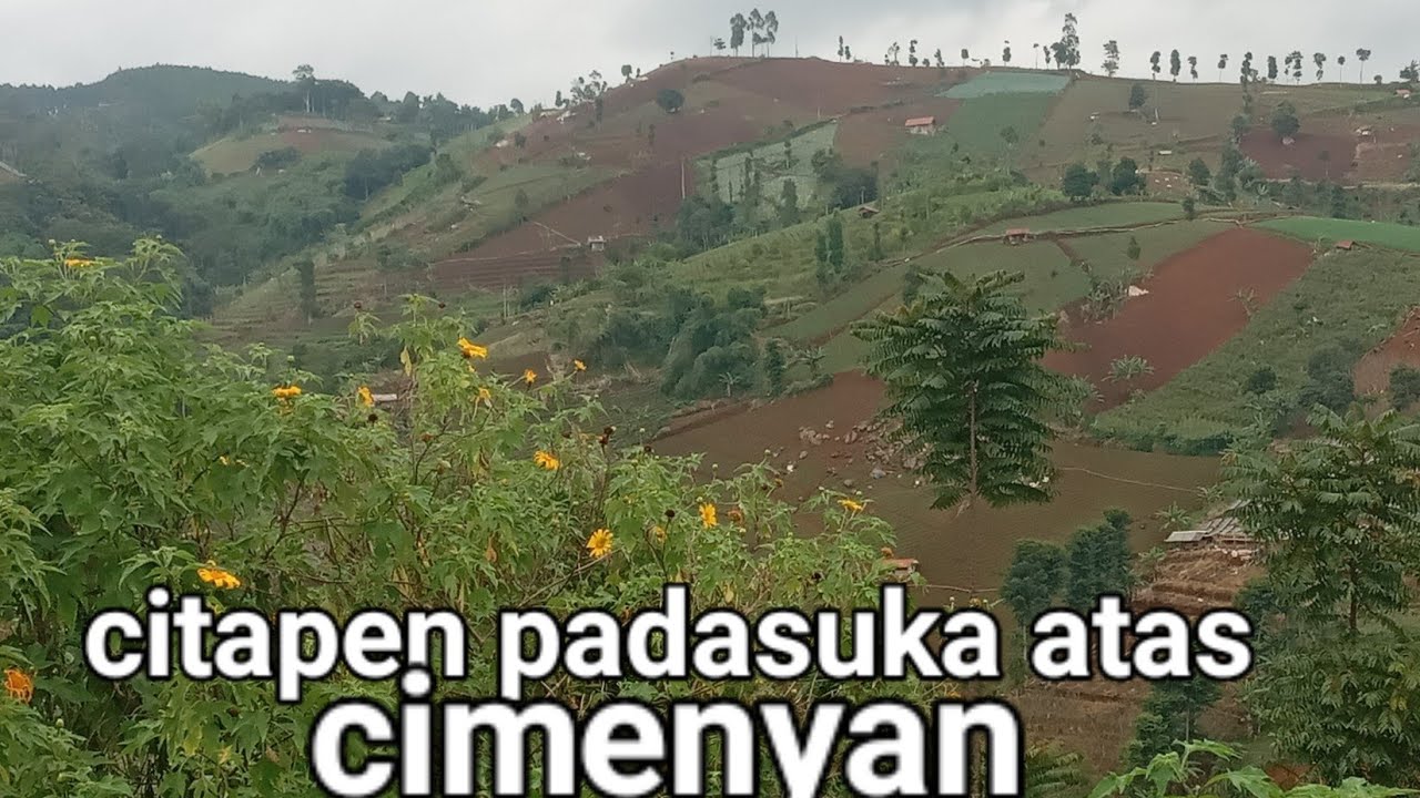 Kondisi terkini kawasan bandung utara dari kampung citapen ke mekarsaluyu cimenyan@edi surowo 6064@