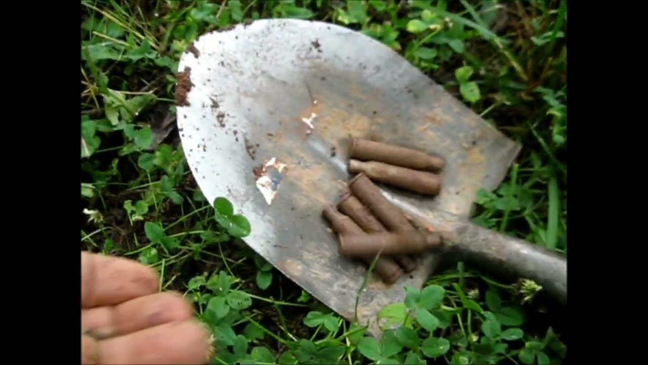 Metal Detecting - Bullet Day