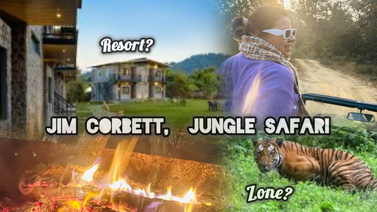 Jim Corbett | Corbett Machan Resort | Phato zone #1million #travelvlog #viral #travel #uttarakhand