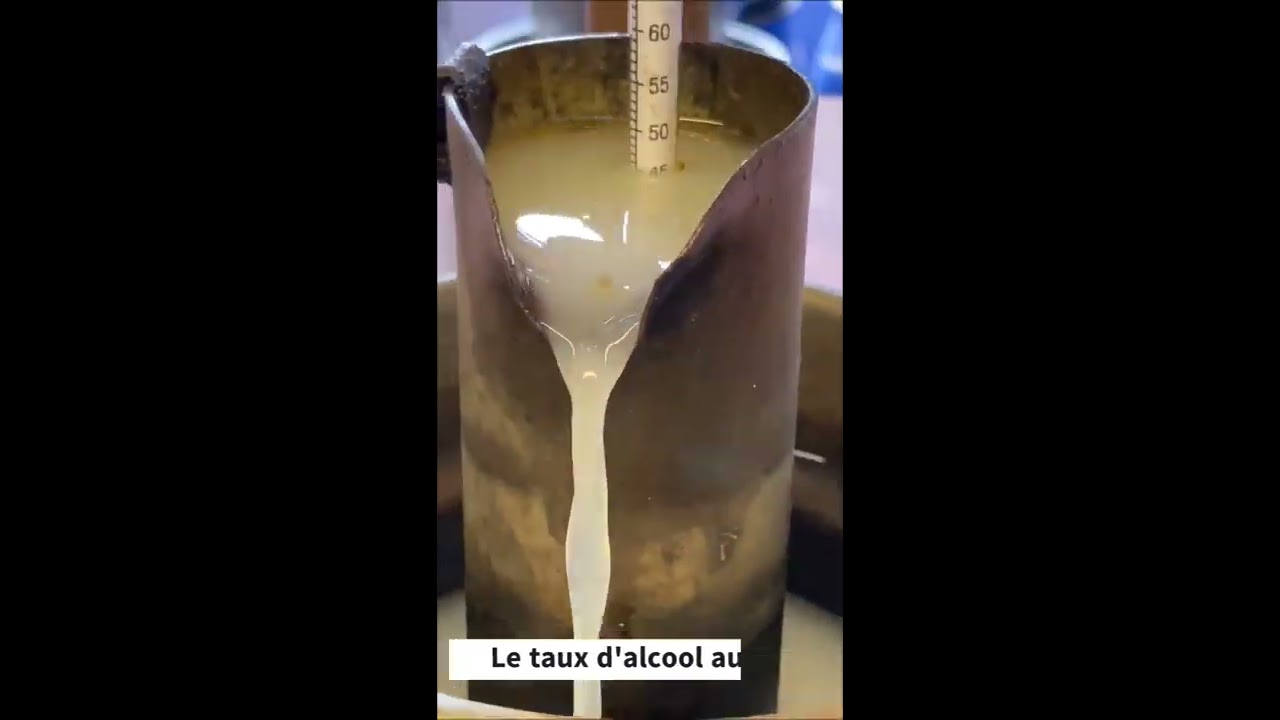 3min30 pour comprendre la distillation d'absinthe | Distillerie Combier