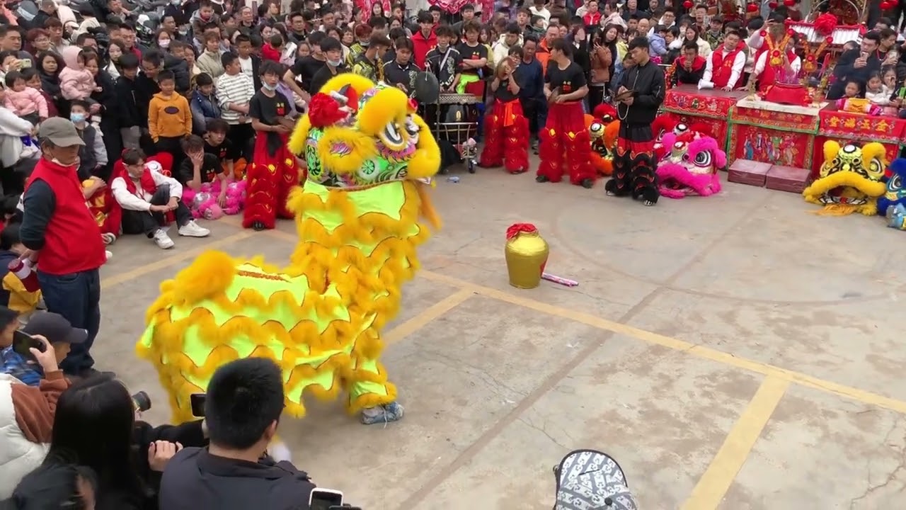 潮汕醒狮表演 Chaoshan Lion Dance | Traditional Folk Show #trendingvideo #chaoshanculture #liondance #醒狮文化