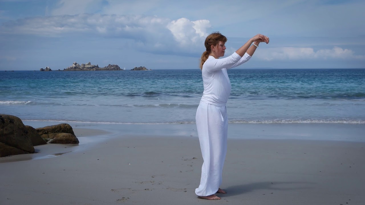 Dayan Qigong  - Wildgans Qigong Teil 1 (2 von 2)