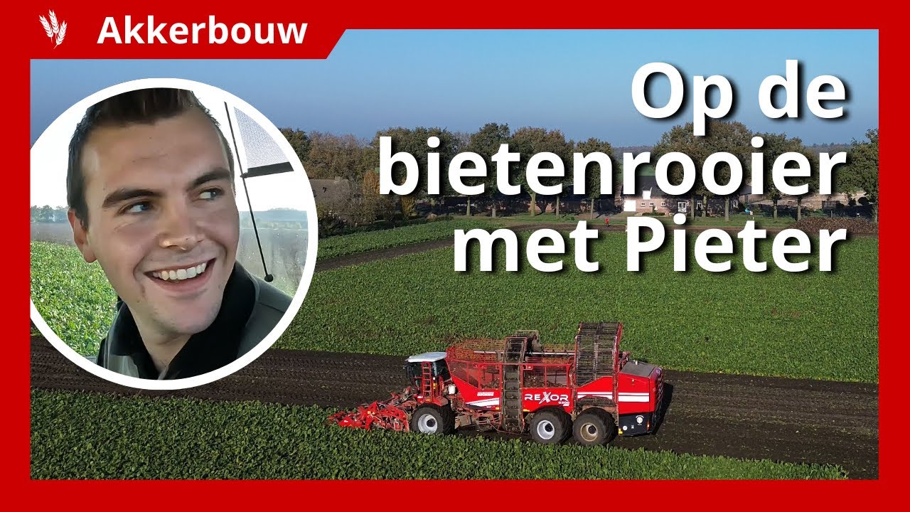 Op de bietenrooier met Pieter: 'Het is niet te beschrijven, zo mooi!'