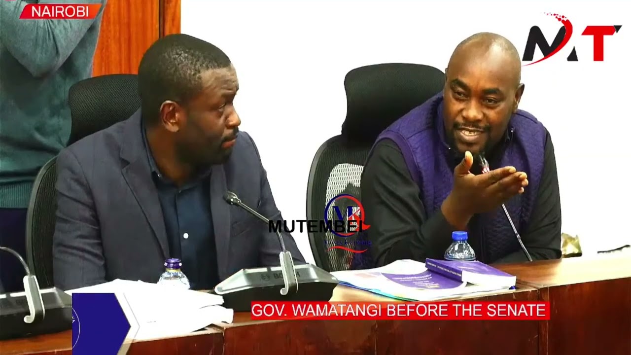 SISI NI SIFUNA LISTEN TO SEN WAMBUA AS HE CORNER GOV WAMATANGI IN SENATE!!