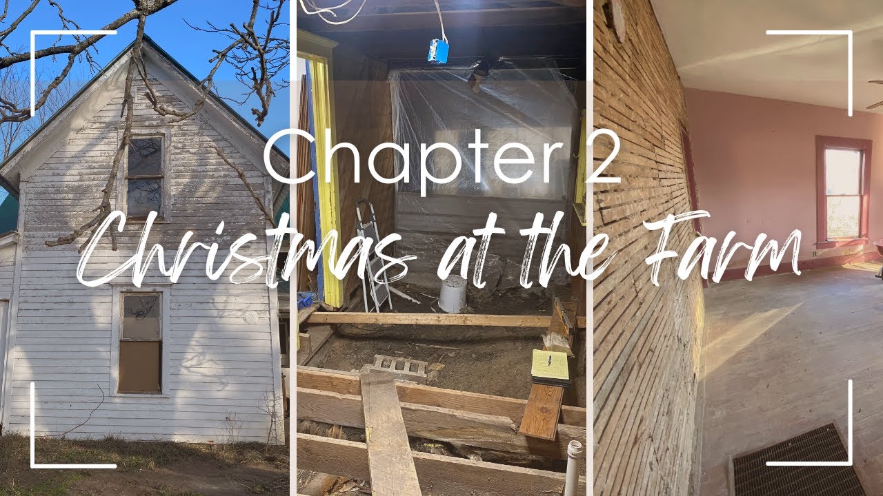 Chapter 2: Christmas at the Farm
