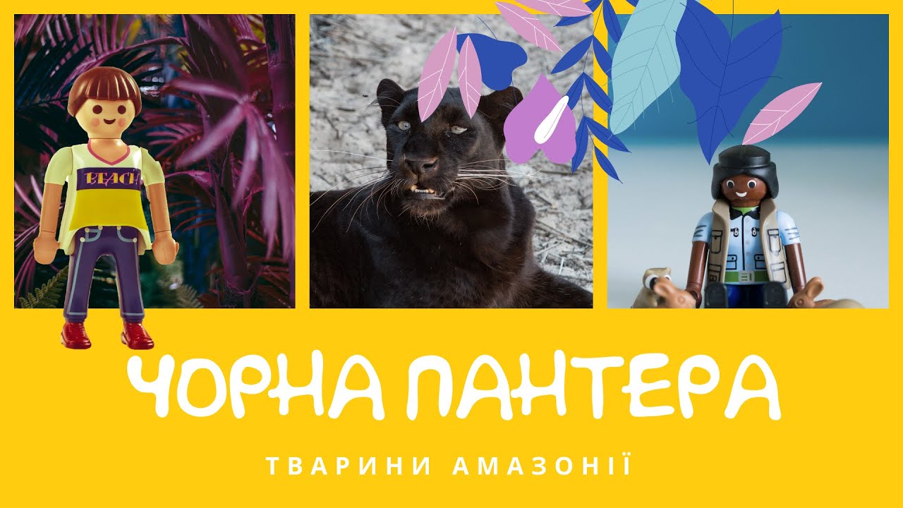 Чорна пантера. Тварини Амазонії | КоМарко