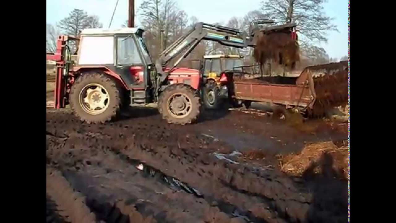 Wożenie obornika Zetor 7045 Ursus C360
