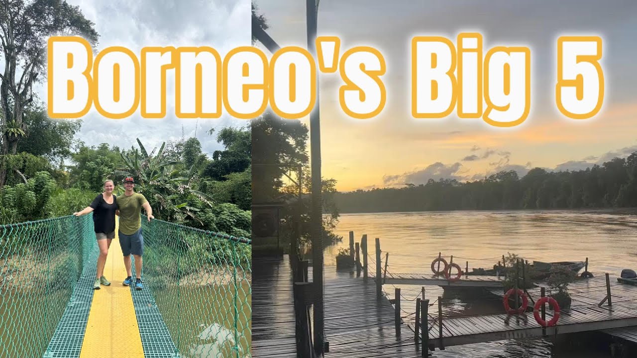 Travel to Borneo | Borneo's Big 5 River Safari
