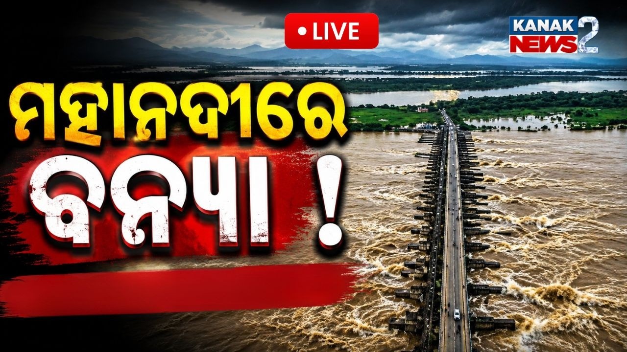 🔴 LIVE  ବଢ଼ୁଛି ଜଳସ୍ତର, ବଢ଼ୁଛି ବିପଦ Mahanadi Flood Alert| Flood Concerns in Odisha