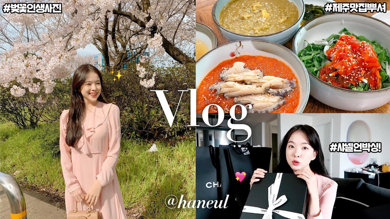 제주하늘🌴 샤넬 초 득템!!! 하고 벚꽃구경 하고 왔어요🌸