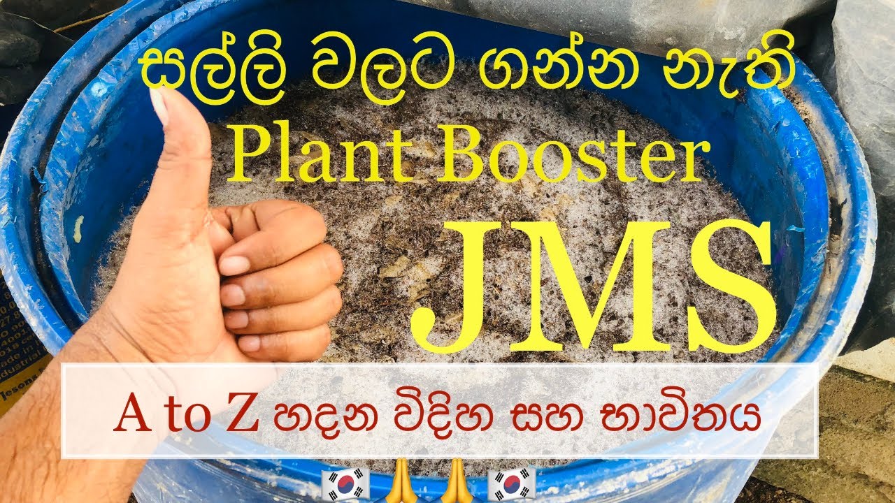 කාබනික පොහොර (JMS) නිෂ්පාදනය | Jadam Organic Fertilizer | Arambe - Hena | Episode 01