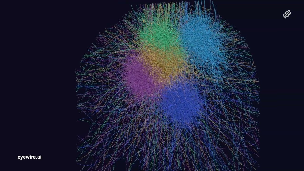 EyeWire 2 Research Preview: Calcium Clusters
