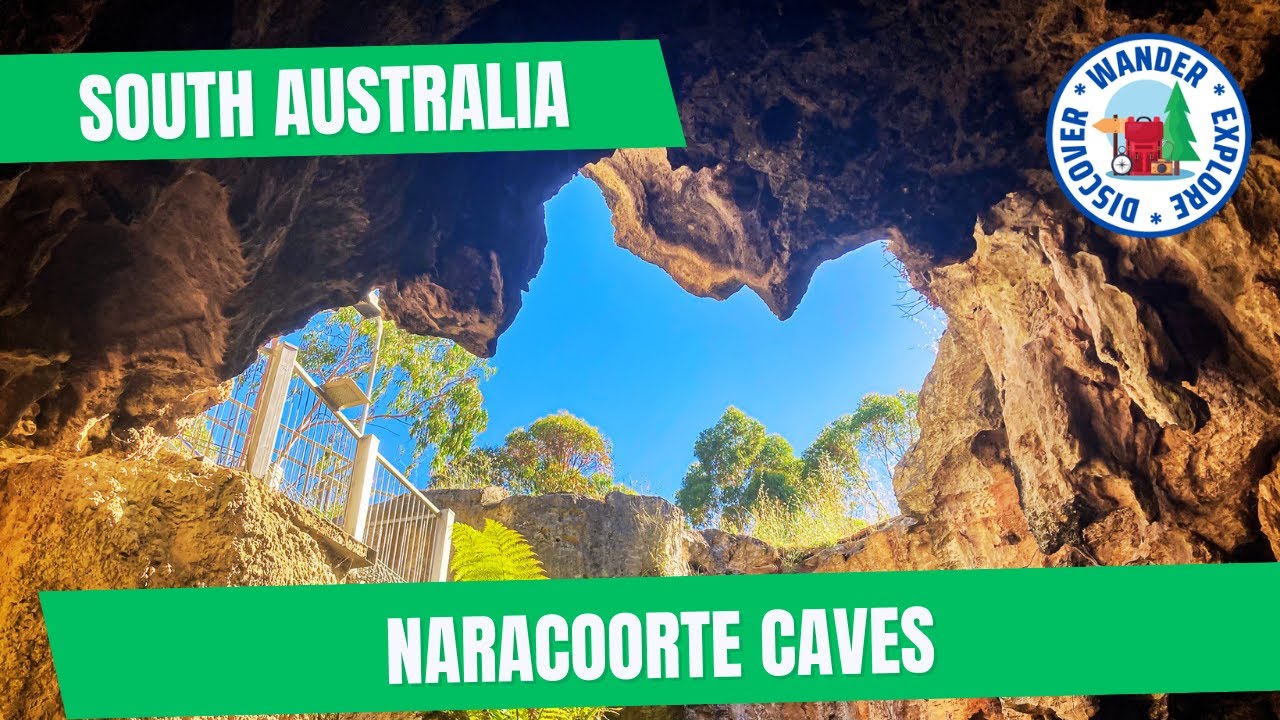 🌿  Naracoorte Caves ~ Discover South Australia
