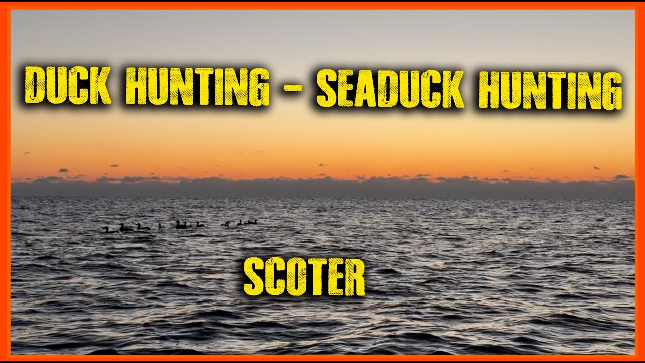 Duck Hunting - Seaduck Hunting - Sea Duck Hunting