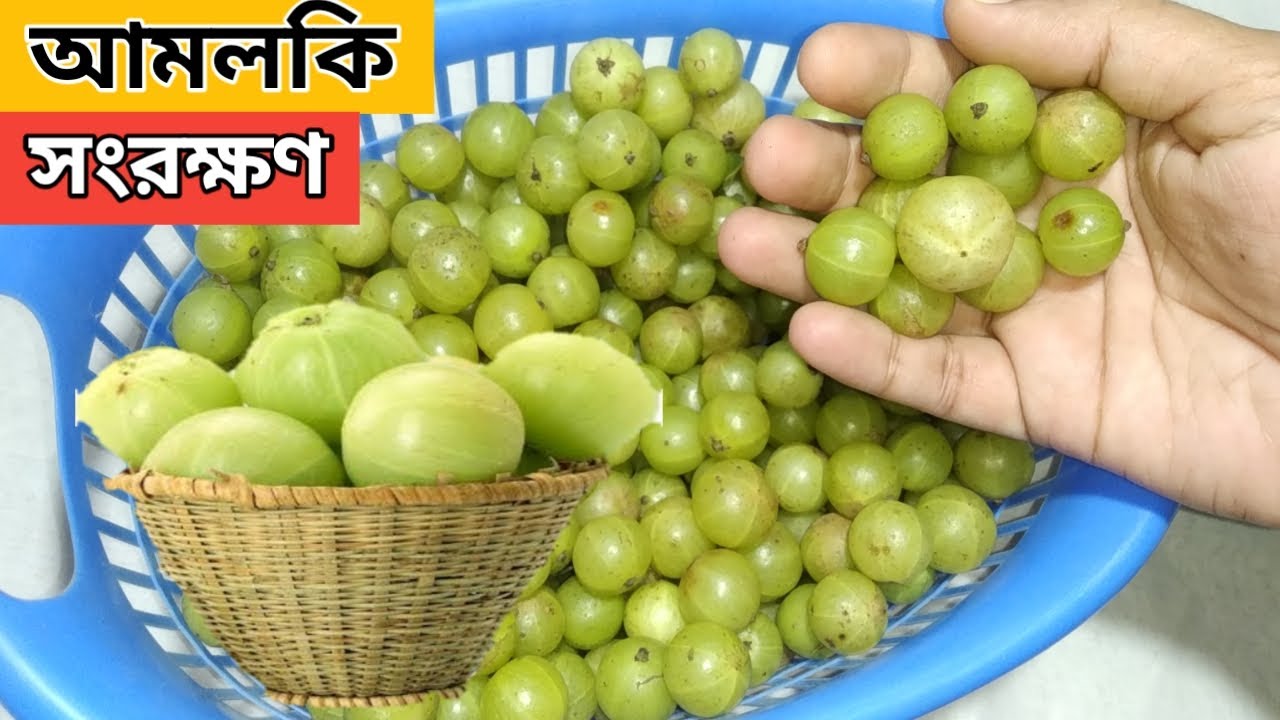 কোন ধরনের কেমিক্যাল ছাড়াই কালার ঠিক রেখে দীর্ঘদিনের জন্য আমলকি সংরক্ষণ করুন আর সারাবছর খান/Amla