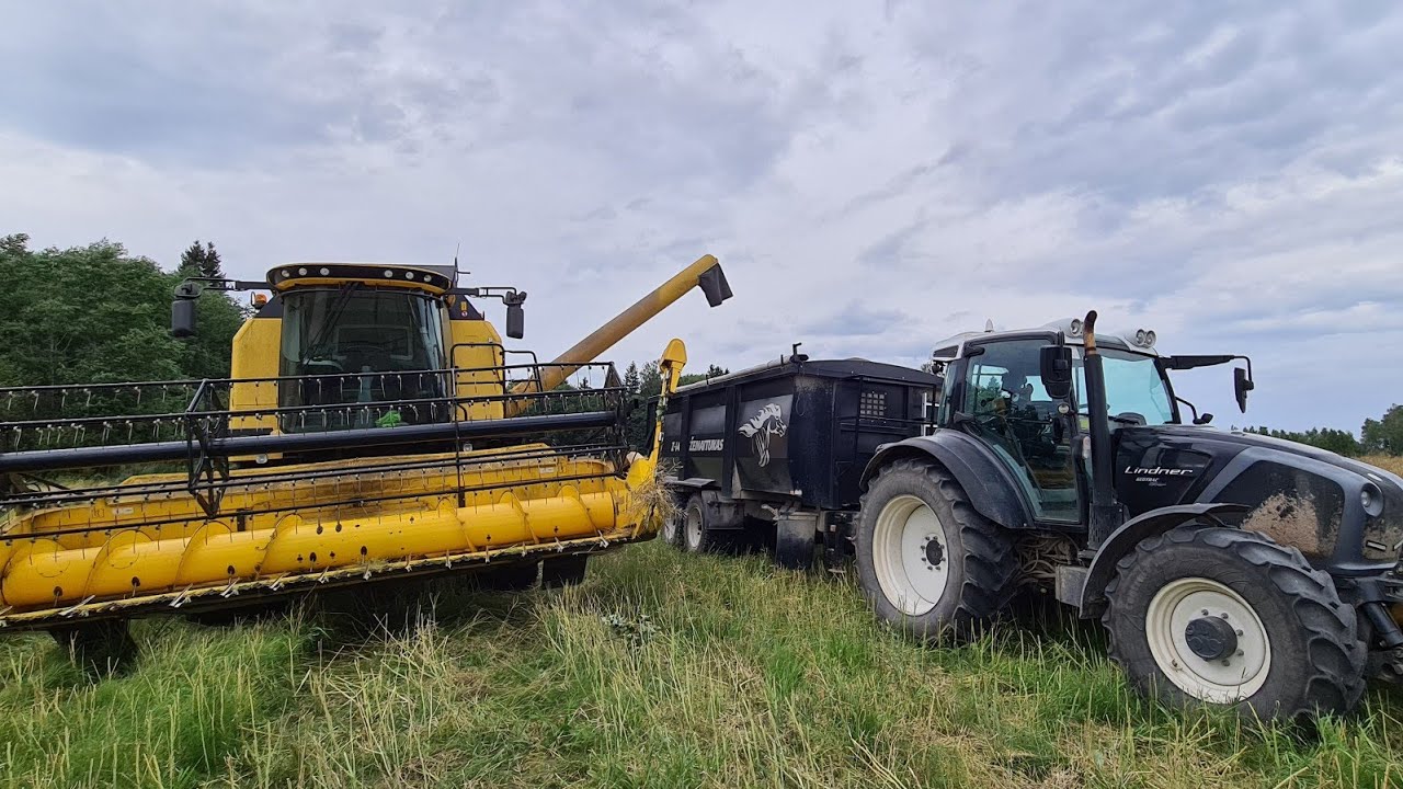 2020 summer#33 Rapso kūlimas!!!