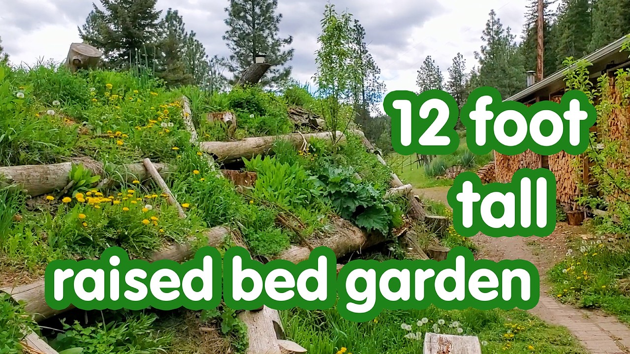 planting seeds on our 12 foot tall hugelkultur - raised bed garden