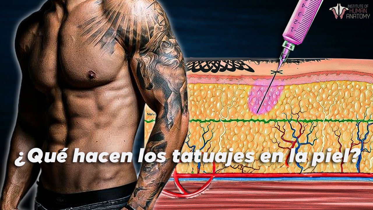 ¿Que Pasa En Tu Piel Si Te Haces Un TATUAJE?