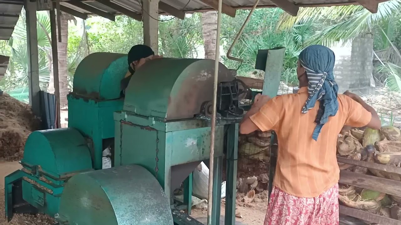 The coconut husk chips making