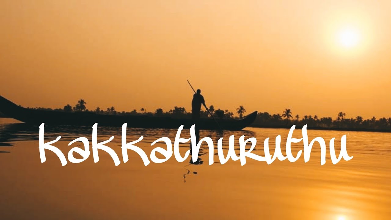 കാക്കത്തുരുത്തിലെ അസ്തമയം |ആലപ്പുഴ | kakkathuruthu |alappuzha | #kerala #alappuzha