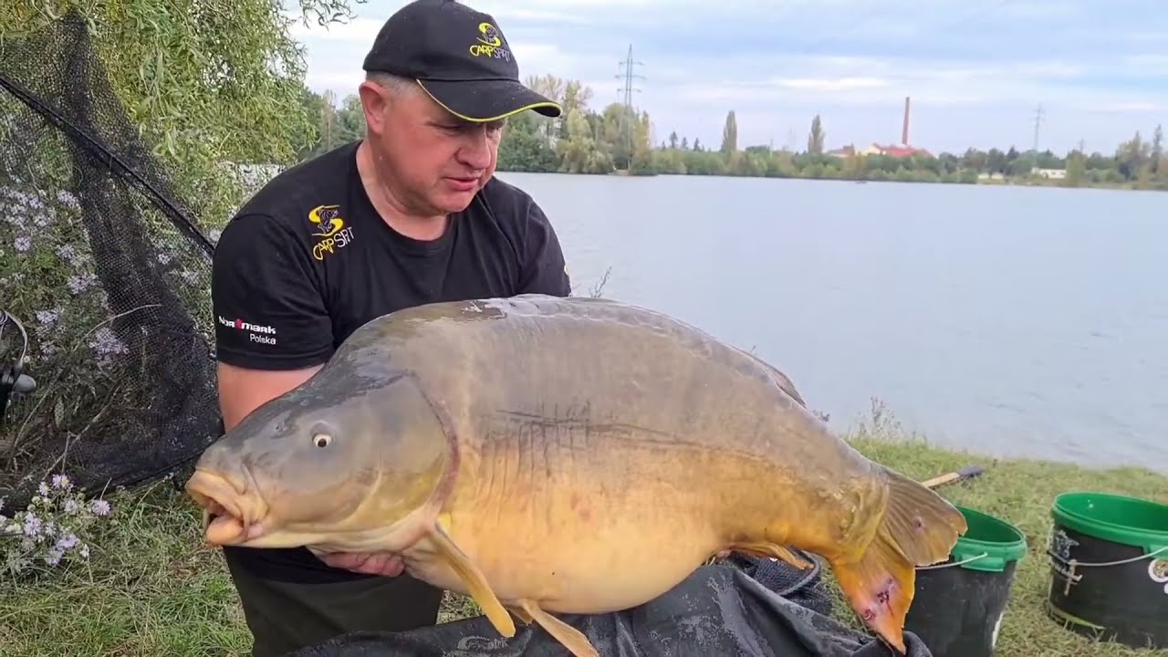 Jesienne karpie w filmowym skr&oacute;cie 🎣 CARPMIX.PL