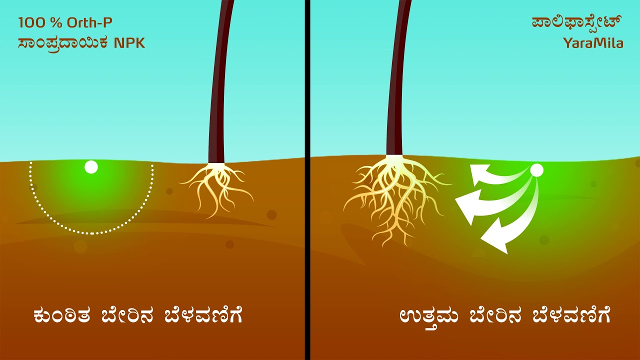 YaraMila Complex 12-11-18 ಉತ್ಪನ್ನ ವೈಶಿಷ್ಟ್ಯಗಳು ಮತ್ತು ಪ್ರಯೋಜನಗಳು