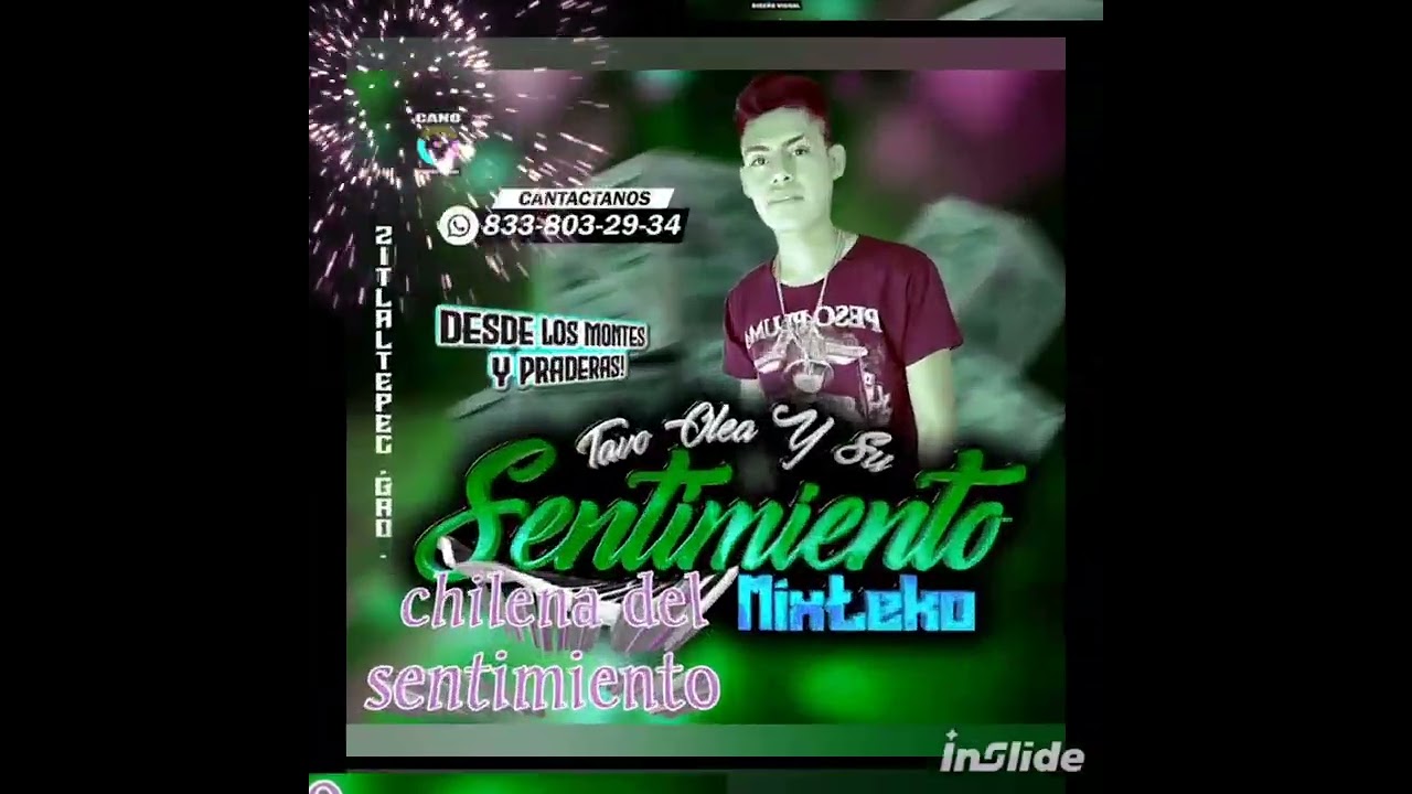 Chilena del sentimiento Tavo olea el sentimiento mixteko 