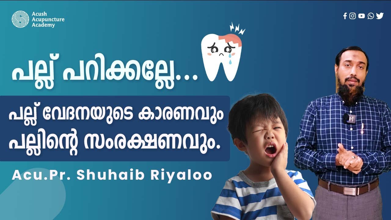 How to Stop Toothache & Get Rid of Pain|പല്ലിന്റെ പ്രശ്നങ്ങൾക്ക് പരിഹാരം| Acu.Pr.Shuhaib Riyaloo