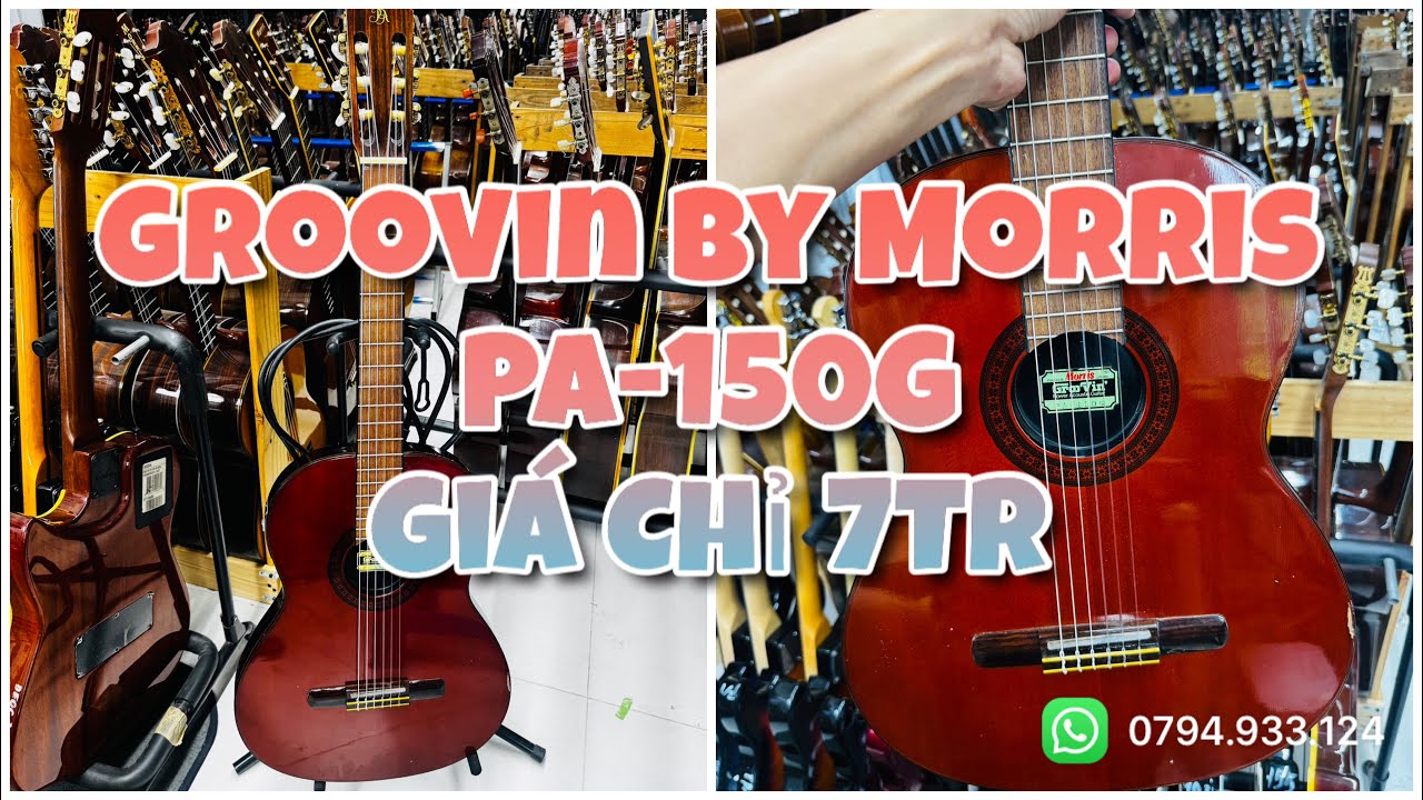 Groovin PA-150G l Made in Japan l Đàn Rẻ -  Âm Hay l LH: 0794.933.124