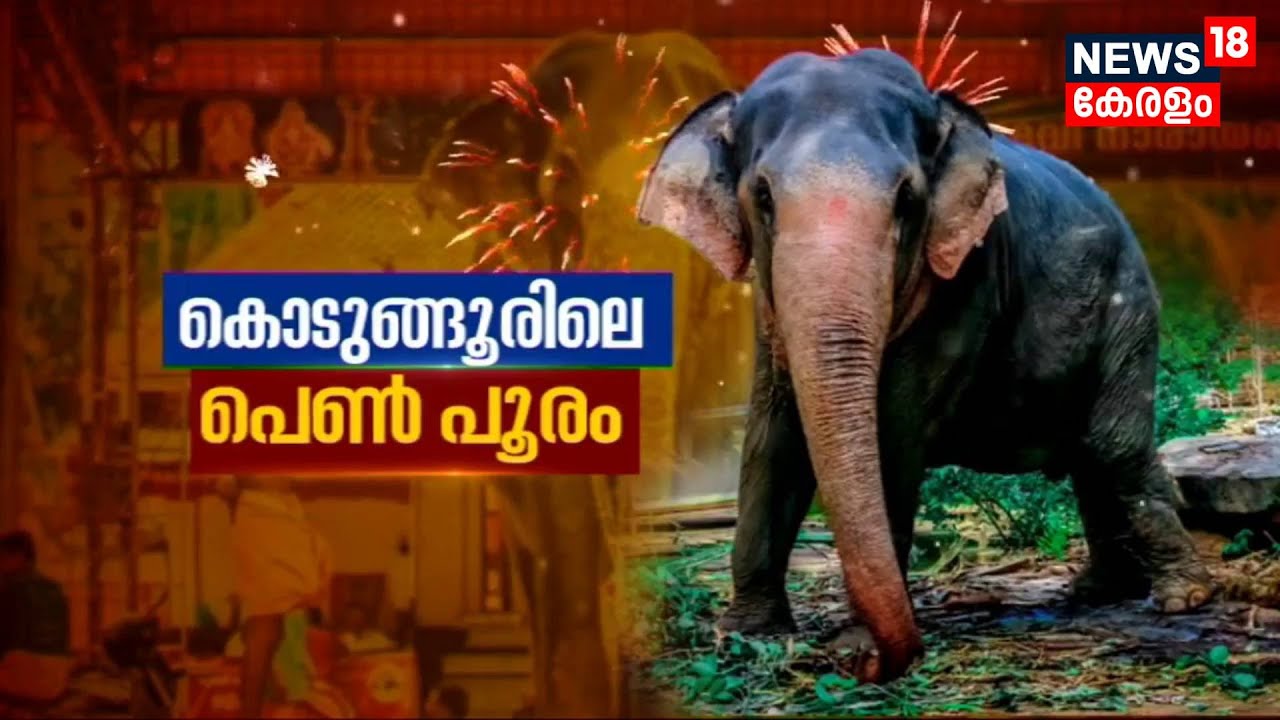 കൊടുങ്ങൂരിലെ പെൺ പൂരം | Kodungoor Major Bhagavathi Temple | Kottayam | Malayalam News Today