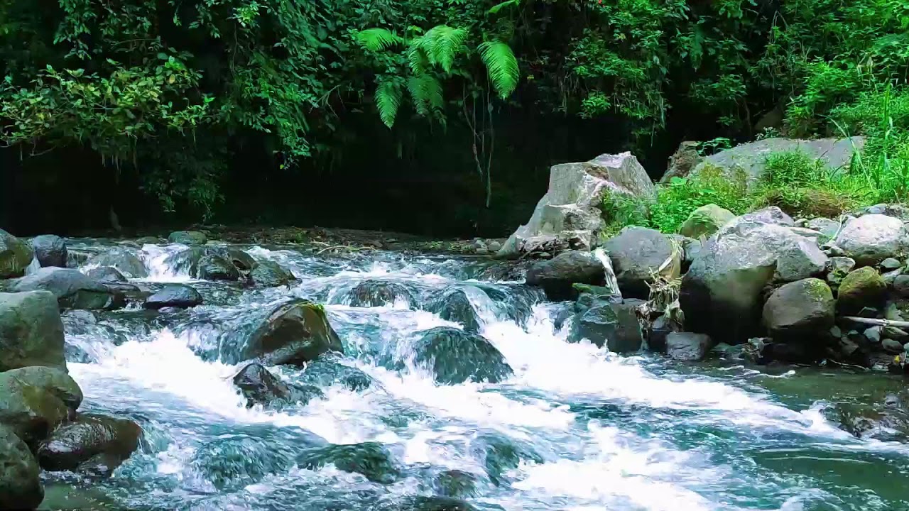 Bold River Sounds  10 Hours Insomnia Stress  Anxiety Relief
